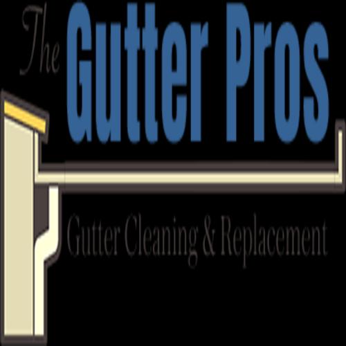 The Gutter Pros