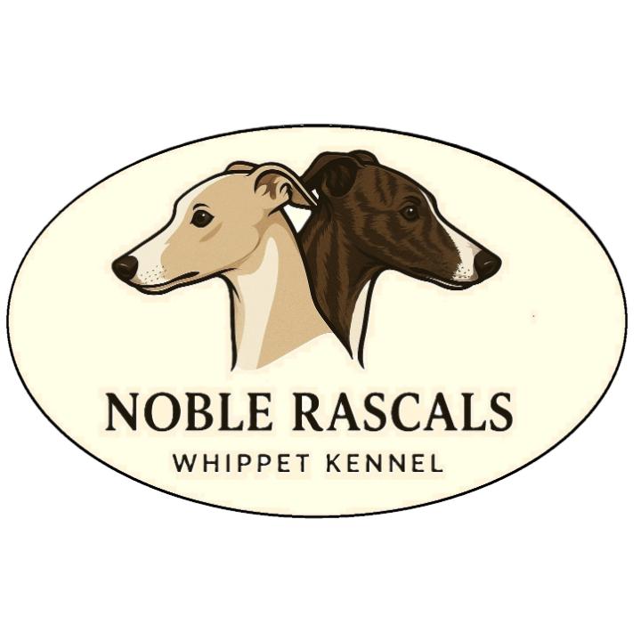 Noble Rascals Whippet