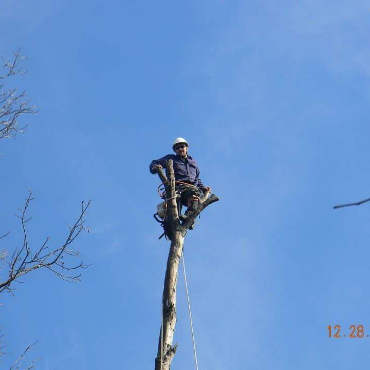 ArborJacks Tree Service