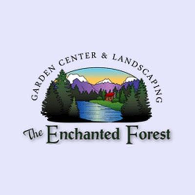 The Enchanted Forest