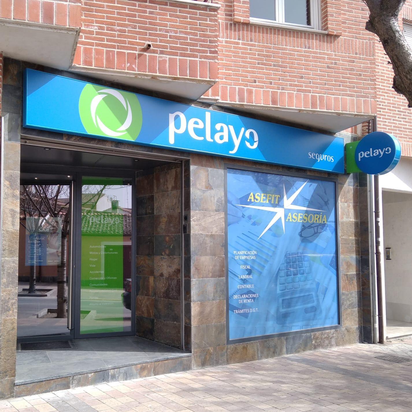 Oficina Seguros Pelayo