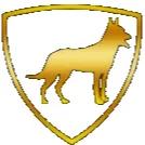 Stealth K9 Dog Training