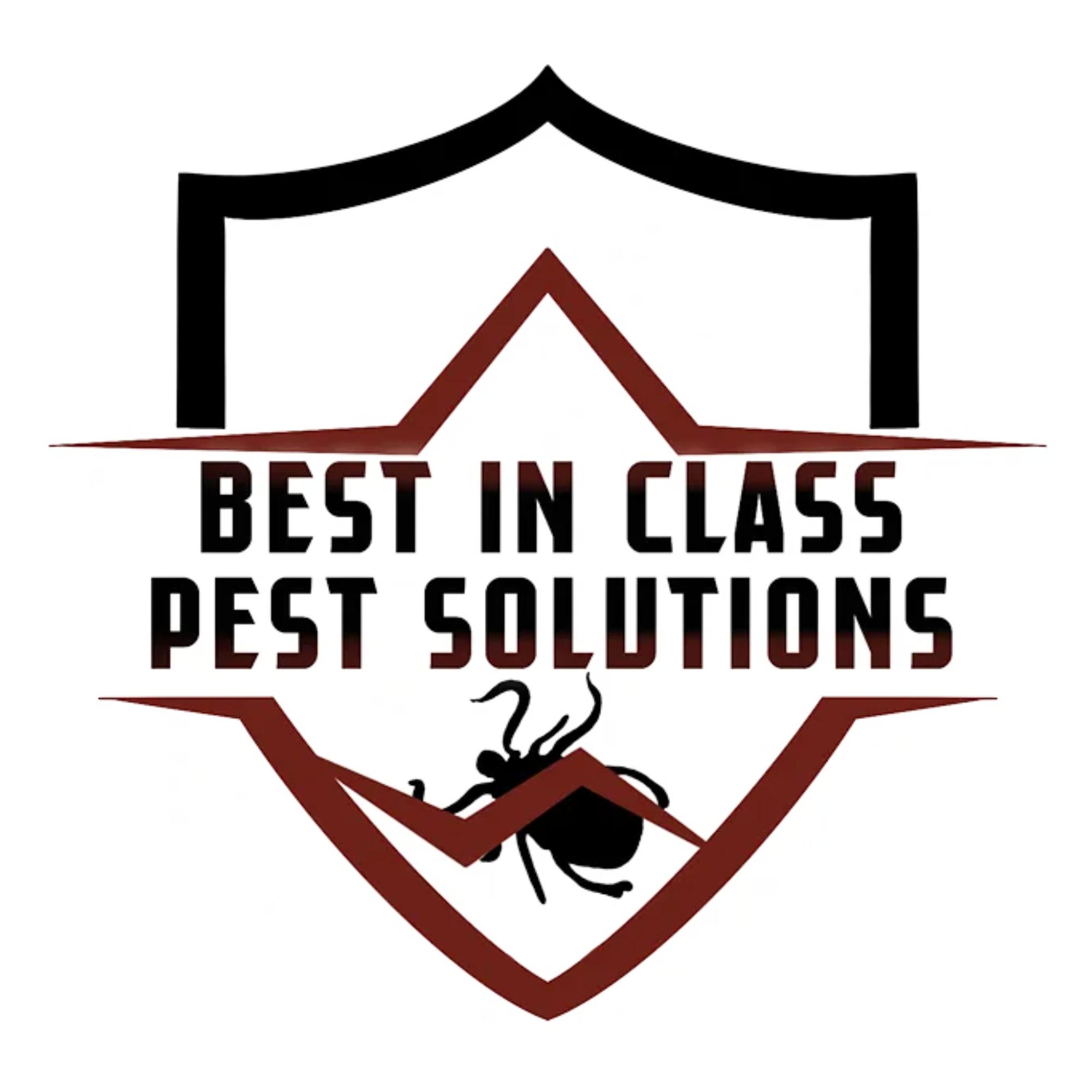 Best In Class Pest Solutions