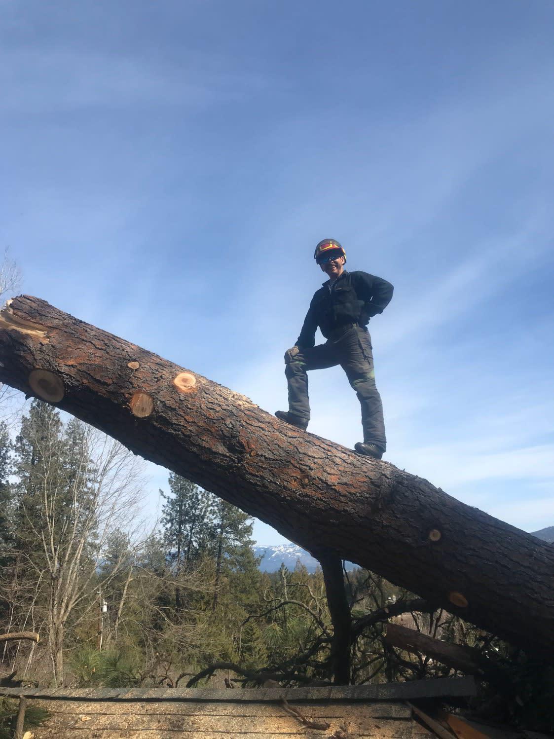 Oliver Tree Service, LLC