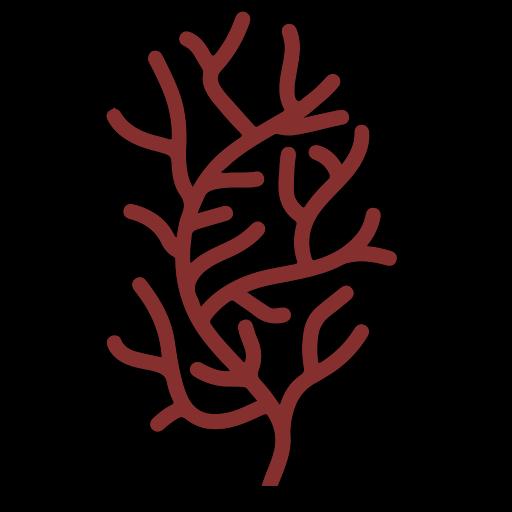 Plocamium Holdings, LLC