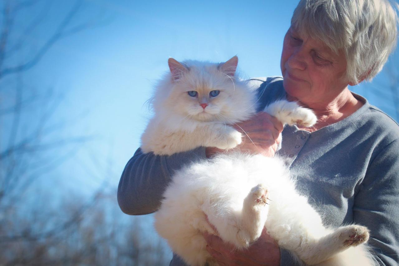 Country Roads Pet Groom