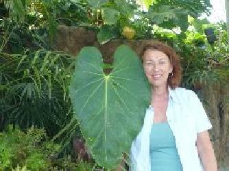 Dr.med.vet. C. Radwanski-Feldhütter Tierärztin