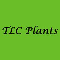 TLC Plants