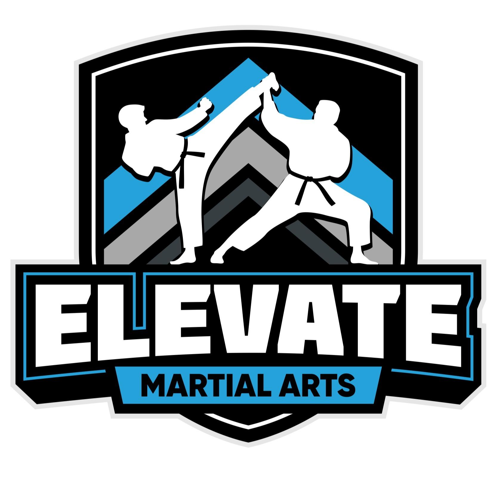 Elevate Martial Arts South Tampa