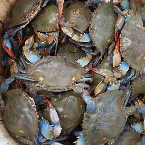 Roselle Seafood