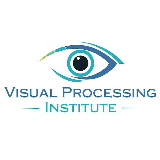 Visual Processing Institute