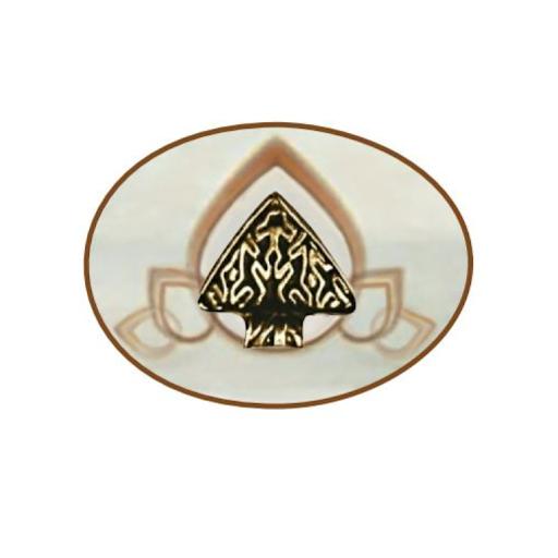 The Center for Holistic Wellness