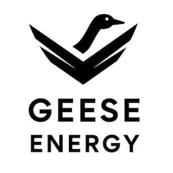 Geese Energy Ltd.