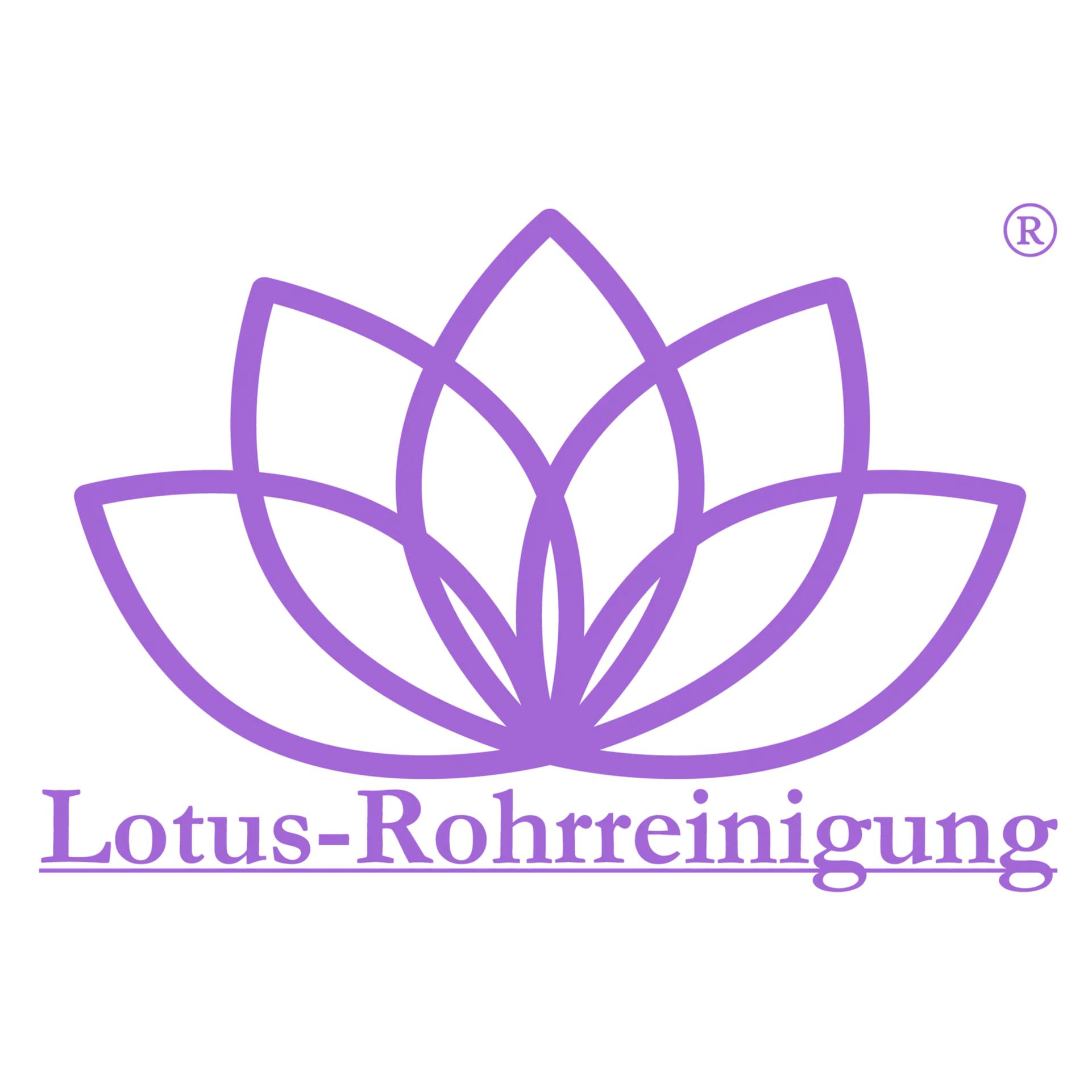 Lotus-Rohrreinigung