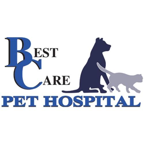 BEST CARE PET HOSPITAL