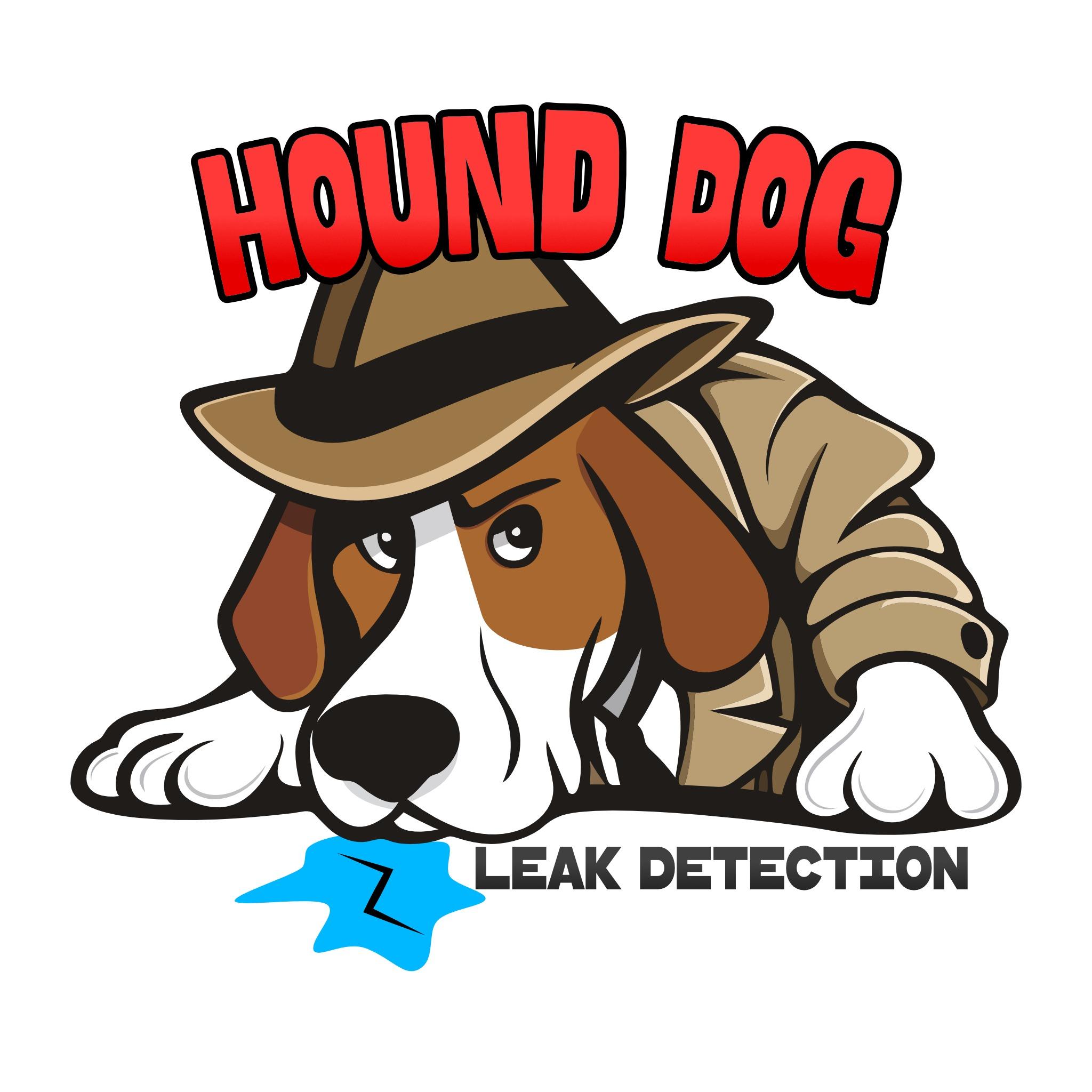 Hound Dog Leak Detection