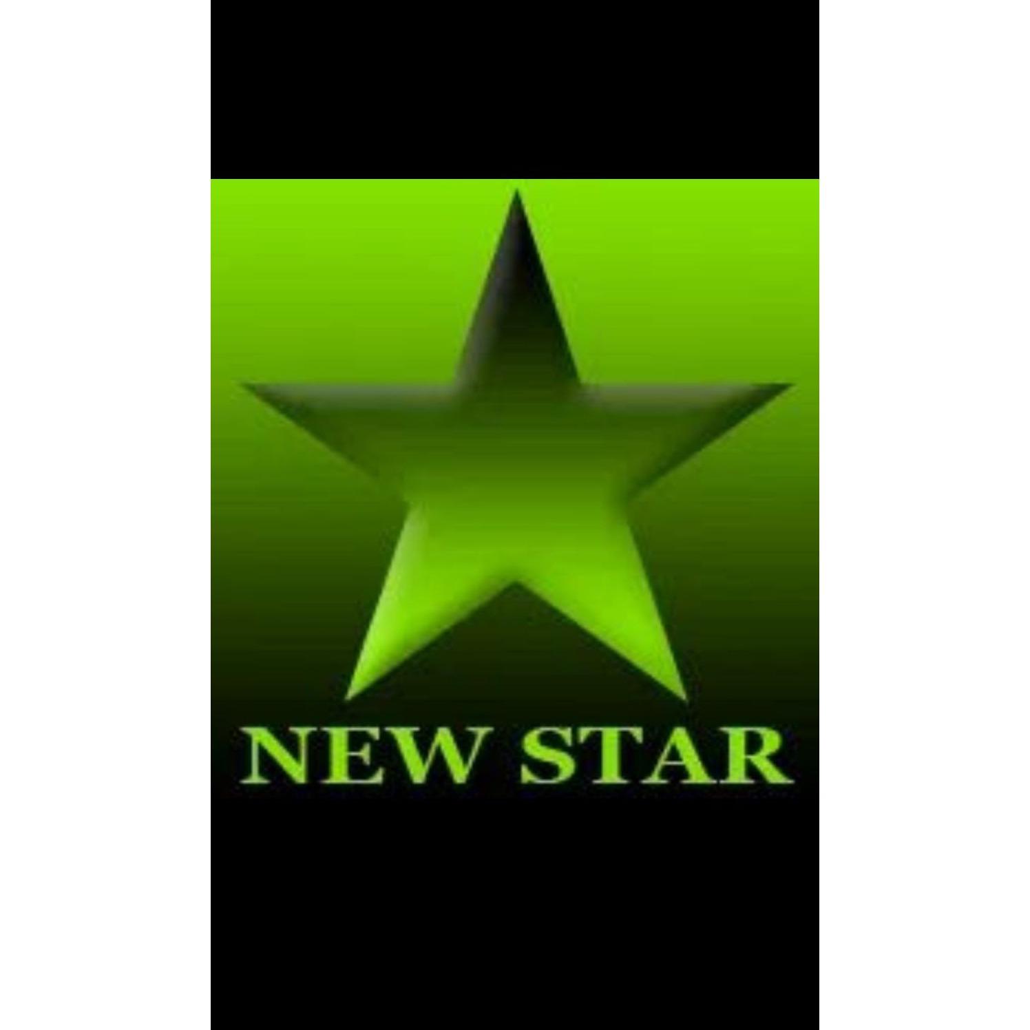 New Star Landscaping and Construction LLC