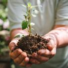 K and S Tree Service