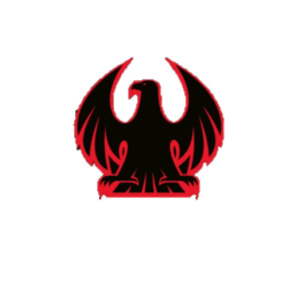 American Guns and Ammo