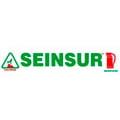 Seinsur