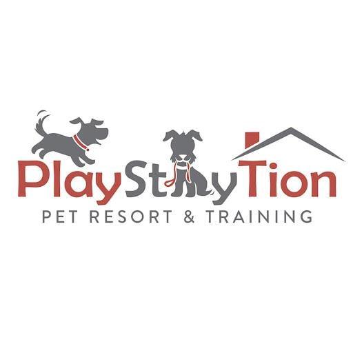 PlayStayTion Pet Resort & Training
