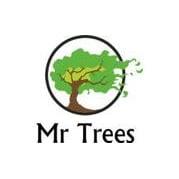 Mr Trees