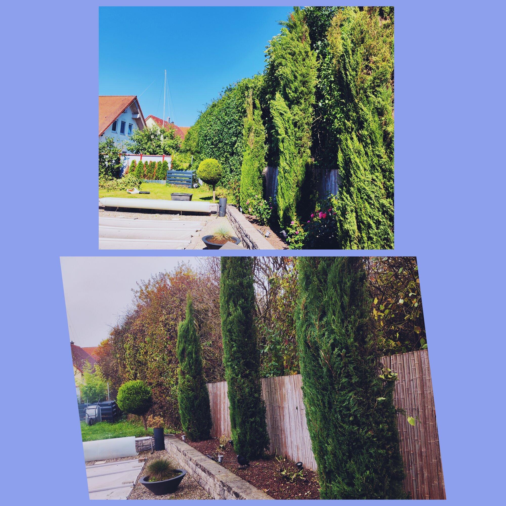 Singer Dienstleistungen