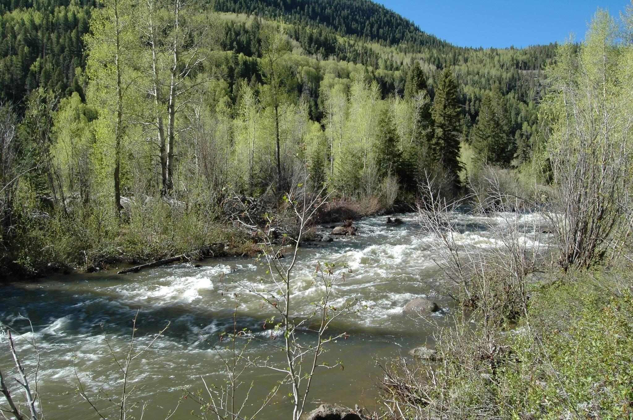 Wilson Rea Beckel & Associates CPAs LLC