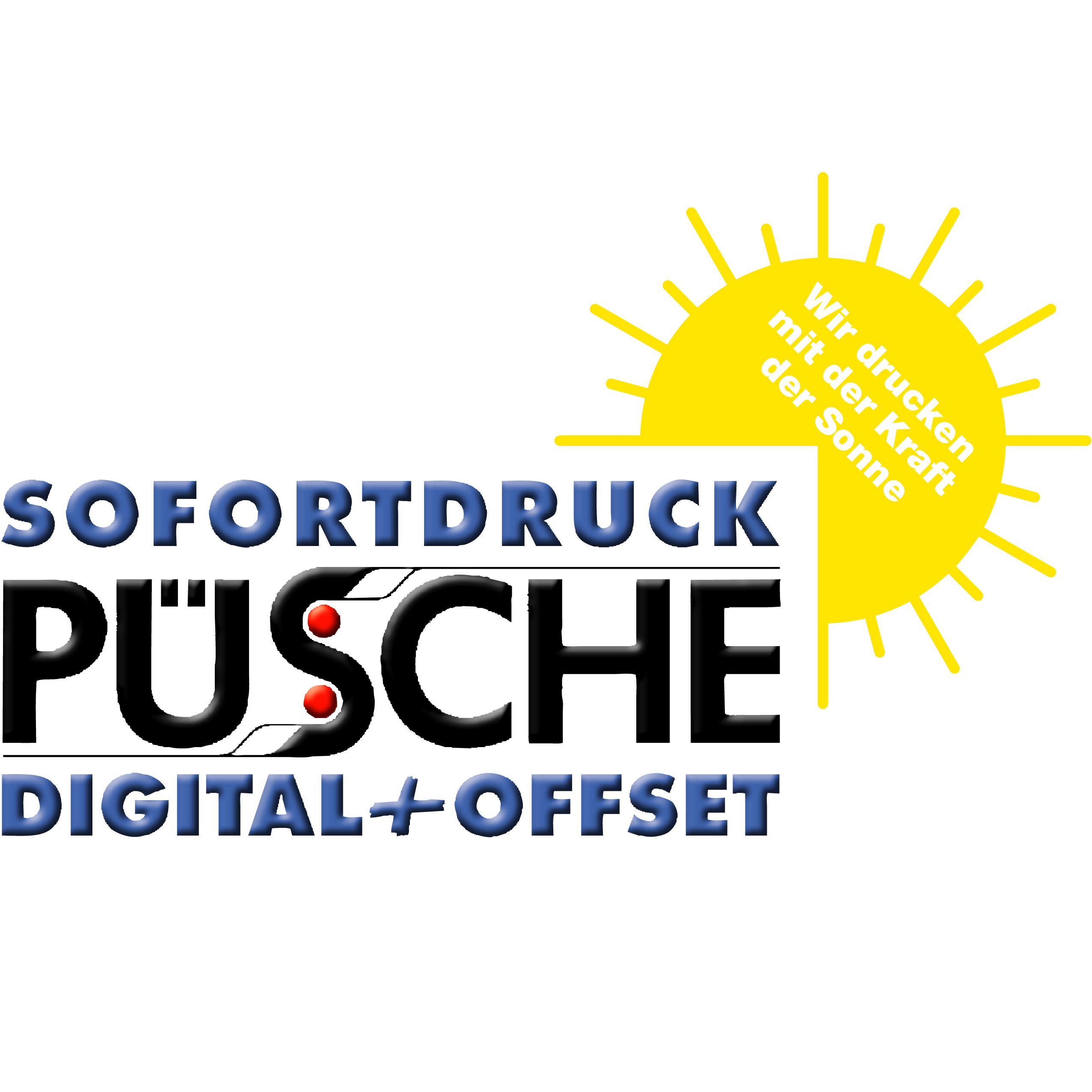 Sofortdruck - Ing Mathias Püsche