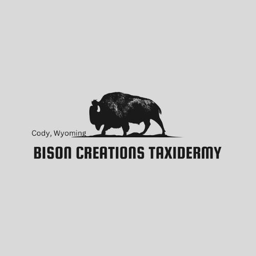 Bison Creations Taxidermy