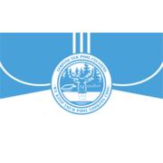 Limping Elk pool Cleaning