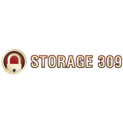 Storage 309