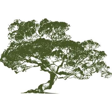 Tyler E. Nelson DMD MD Oral & Maxillofacial Surgery