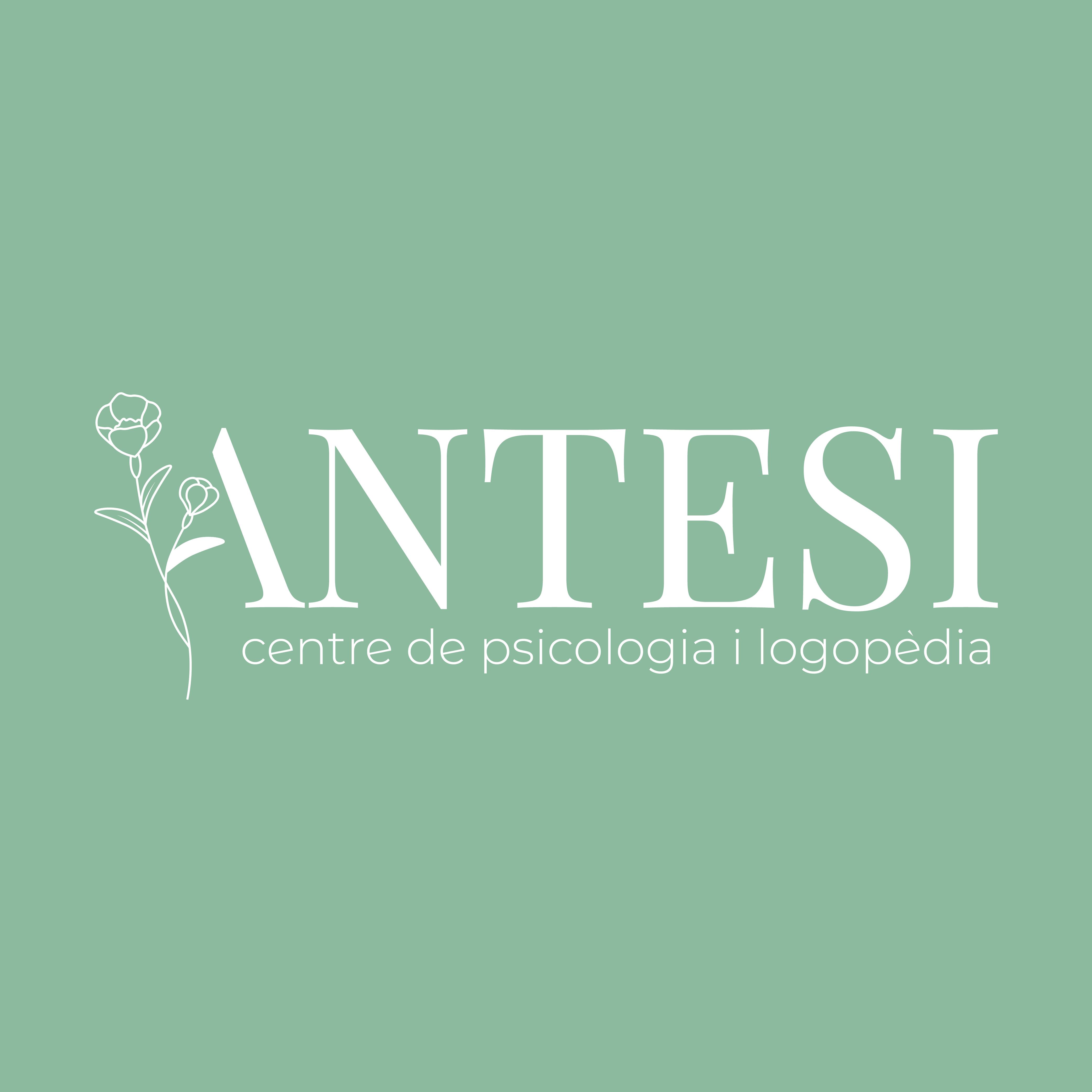 Antesi Centre de Psicologia i Logopèdia