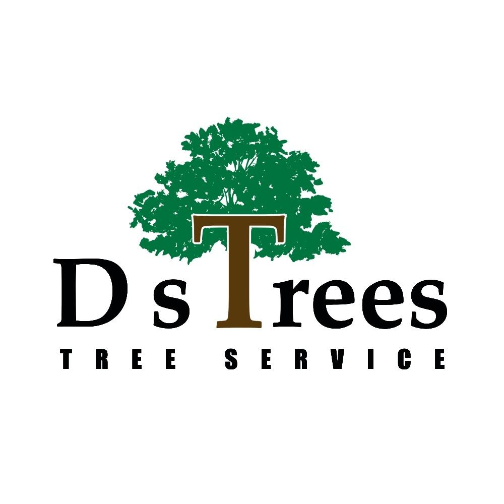D's Trees