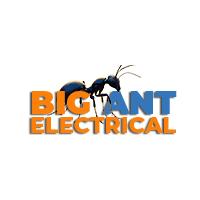 Big Ant Electrical