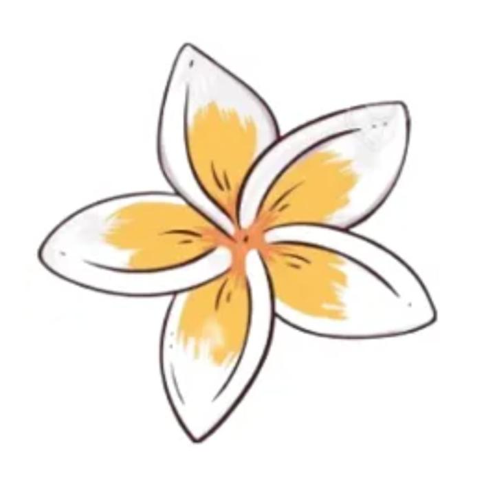 Bali Jewels -NATURAL DECOR-