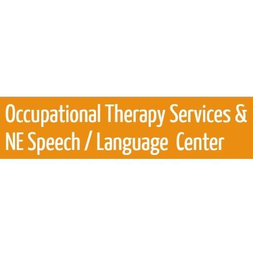 Occupational Therapy Services NE Speech & Language Center