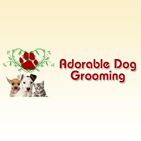 Adorable Dog Grooming