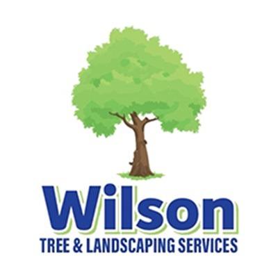 Wilson Tree & Landscaping Service