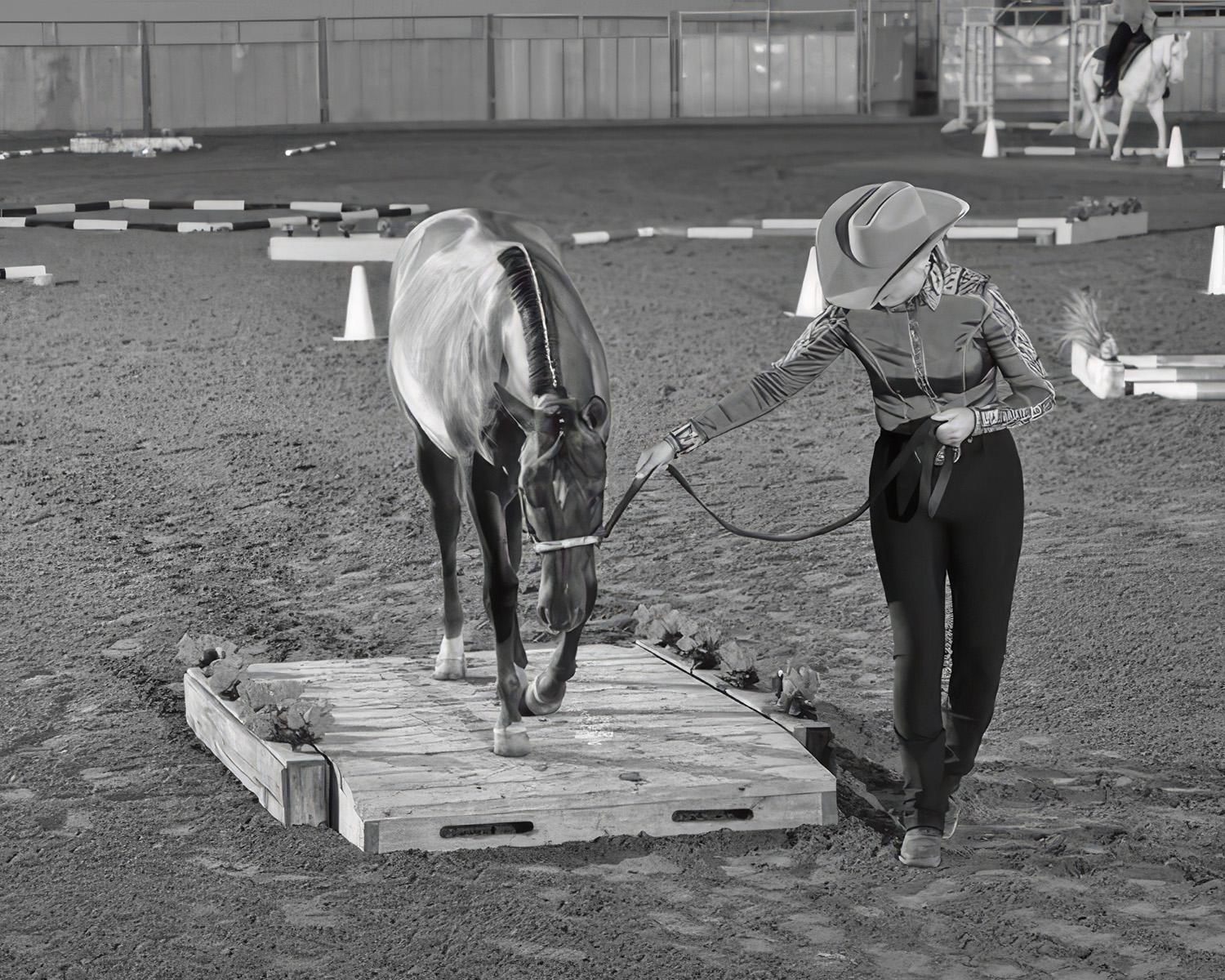 Champion Farms