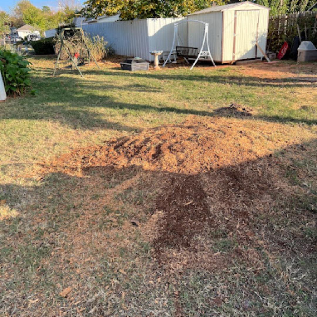 Cole's Tree Services