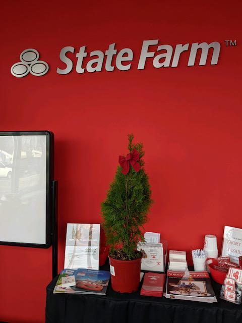 Joe Ashooh - State Farm Insurance Agent