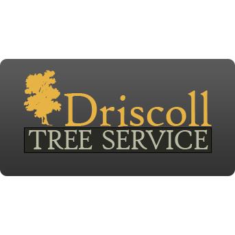 Driscoll Tree Service