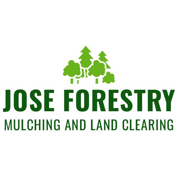Jose Forestry Mulching and Land Clearing