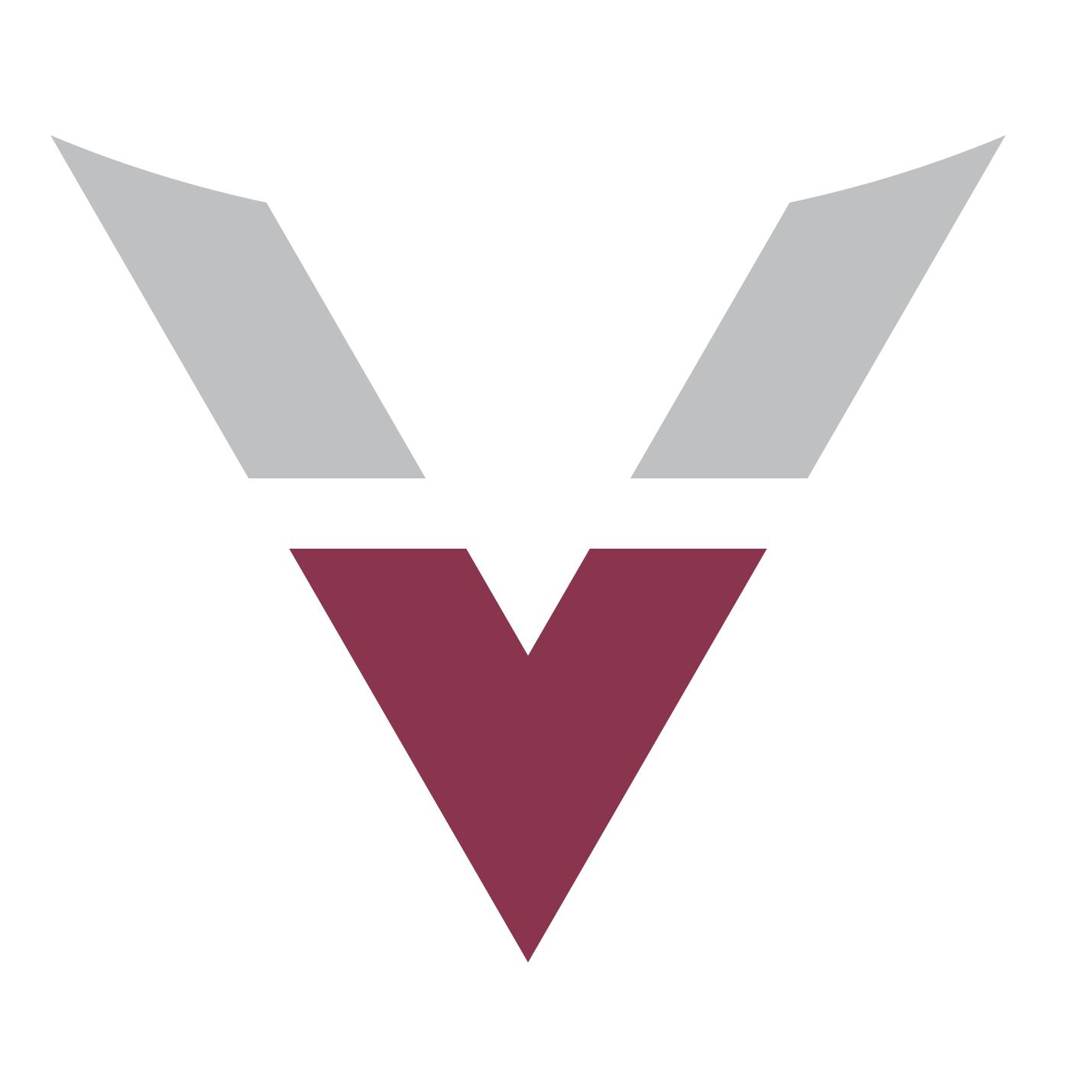 Velocity Digital Media Co.