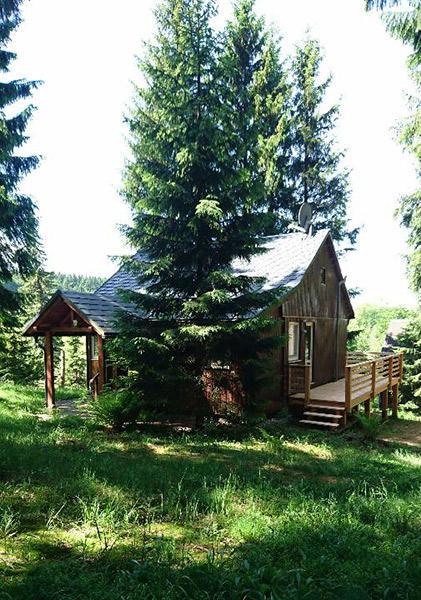 Billing’s Waldhaus