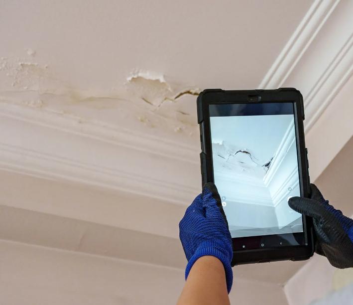 Local Restoration LLC