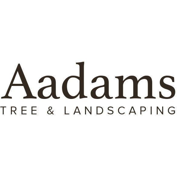 Aadams Tree Service, Trimming, & Stump Grinding Woodinville Wa