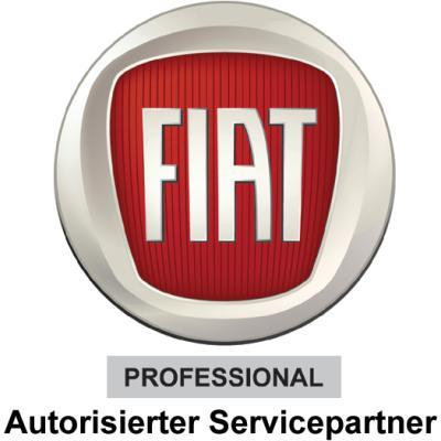 Auto Ascher GmbH & Co. KG